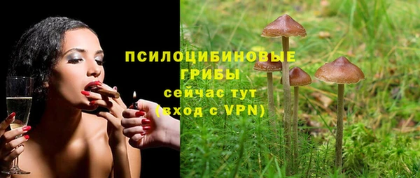 метадон Магас