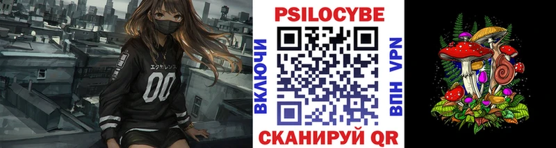 Псилоцибиновые грибы Psilocybine cubensis  Псков 